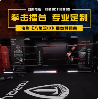 Octagon för MMA