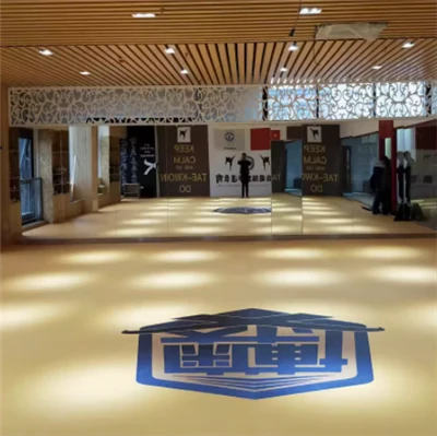 XPE-matta för boxning Jodo MMA