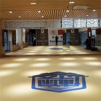 XPE-matta för boxning Jodo MMA